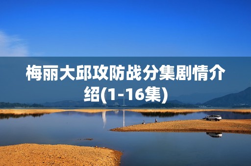 梅丽大邱攻防战分集剧情介绍(1-16集)