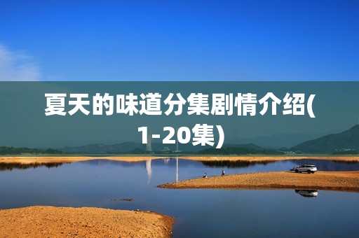 夏天的味道分集剧情介绍(1-20集)