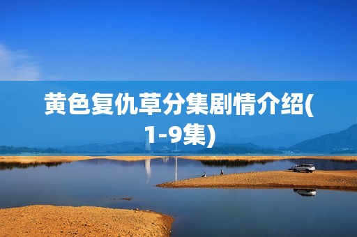 黄色复仇草分集剧情介绍(1-9集)