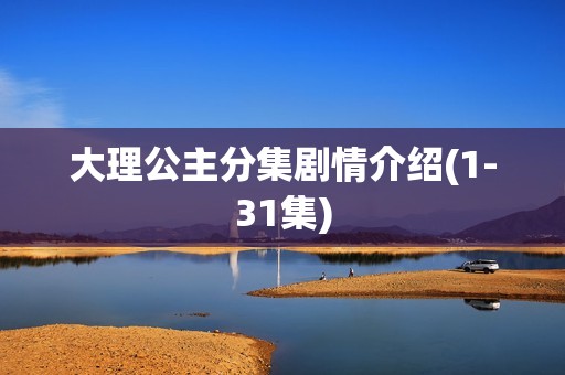 大理公主分集剧情介绍(1-31集)