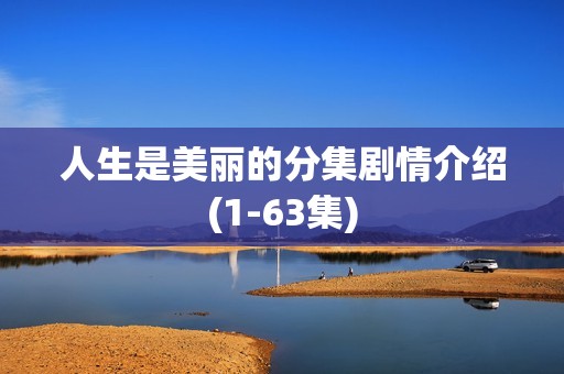 人生是美丽的分集剧情介绍(1-63集)