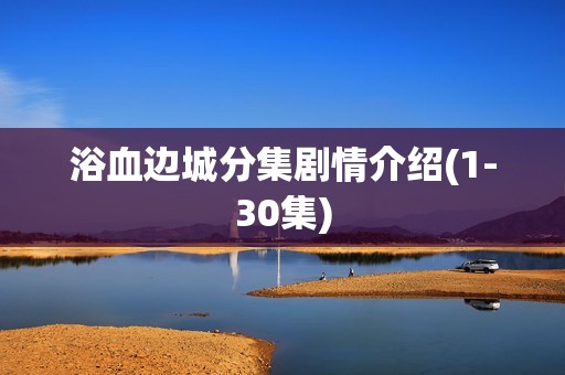 浴血边城分集剧情介绍(1-30集)