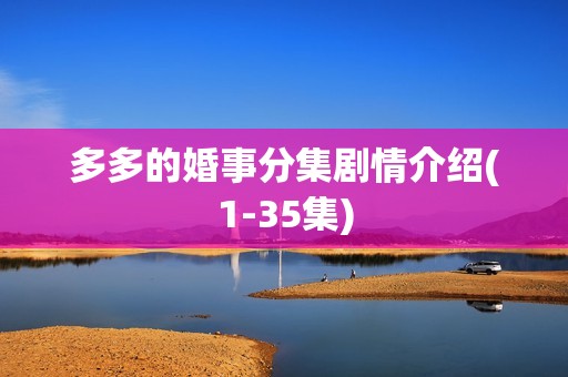 多多的婚事分集剧情介绍(1-35集)