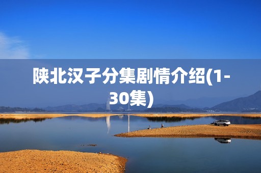 陕北汉子分集剧情介绍(1-30集)