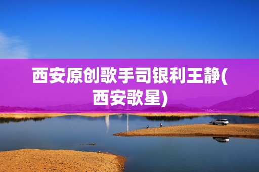 西安原创歌手司银利王静(西安歌星)