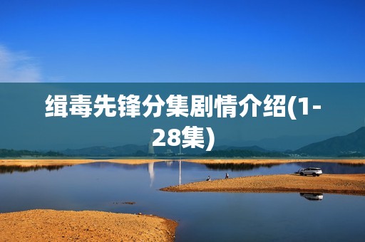 缉毒先锋分集剧情介绍(1-28集)
