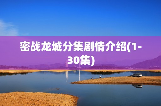 密战龙城分集剧情介绍(1-30集)