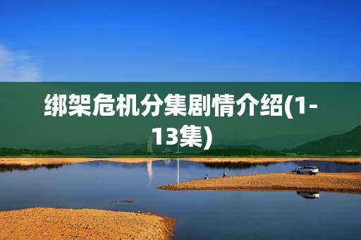 绑架危机分集剧情介绍(1-13集)