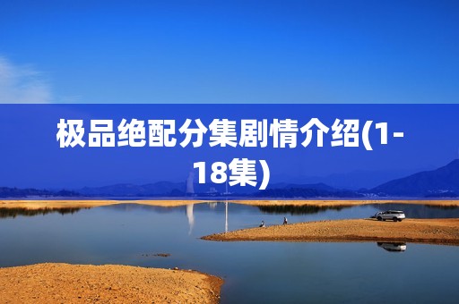 极品绝配分集剧情介绍(1-18集)