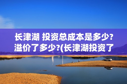 长津湖 投资总成本是多少?溢价了多少?(长津湖投资了几个亿)