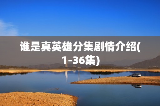 谁是真英雄分集剧情介绍(1-36集)