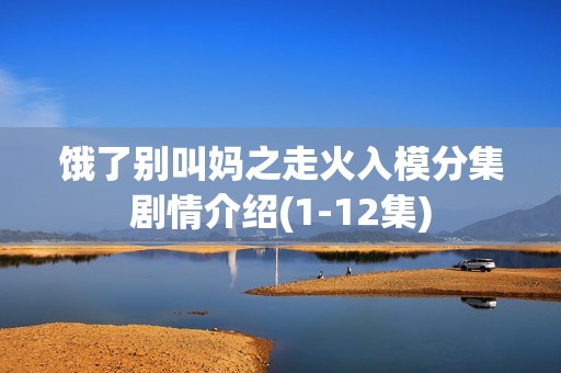 饿了别叫妈之走火入模分集剧情介绍(1-12集)