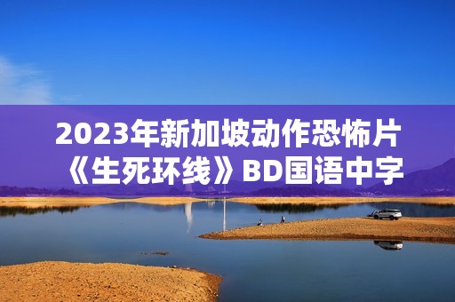 2023年新加坡动作恐怖片《生死环线》BD国语中字
