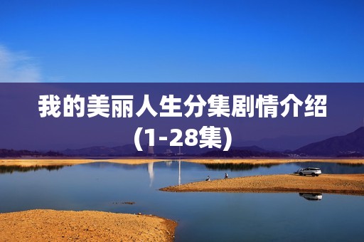 我的美丽人生分集剧情介绍(1-28集)