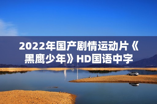 2022年国产剧情运动片《黑鹰少年》HD国语中字