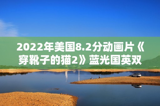 2022年美国8.2分动画片《穿靴子的猫2》蓝光国英双语中英双字