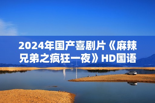 2024年国产喜剧片《麻辣兄弟之疯狂一夜》HD国语中字