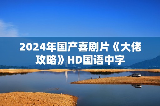 2024年国产喜剧片《大佬攻略》HD国语中字