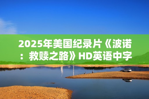 2025年美国纪录片《波诺：救赎之路》HD英语中字