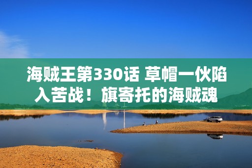 海贼王第330话 草帽一伙陷入苦战！旗寄托的海贼魂