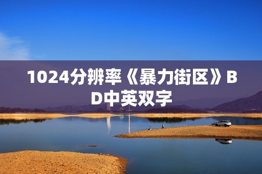 1024分辨率《暴力街区》BD中英双字