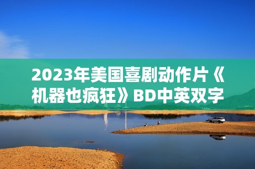 2023年美国喜剧动作片《机器也疯狂》BD中英双字