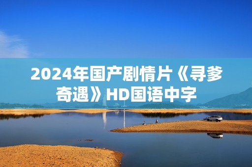 2024年国产剧情片《寻爹奇遇》HD国语中字