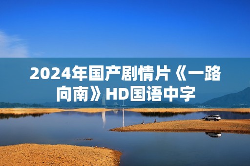2024年国产剧情片《一路向南》HD国语中字