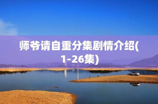 师爷请自重分集剧情介绍(1-26集)