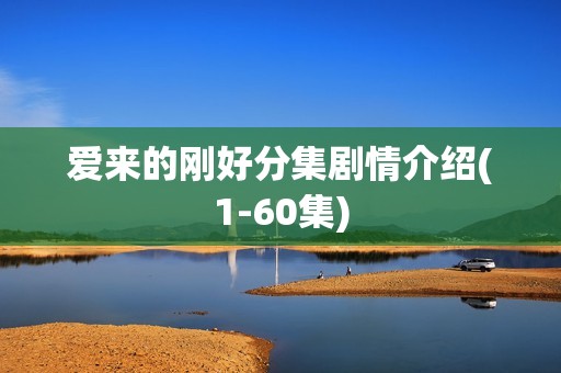 爱来的刚好分集剧情介绍(1-60集)