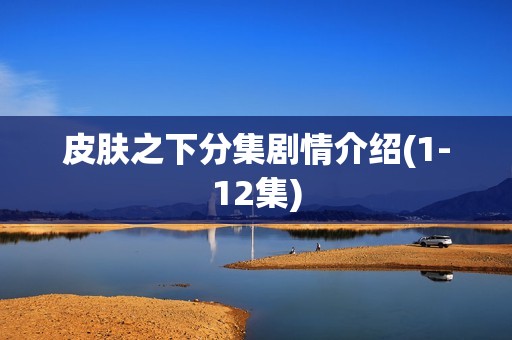 皮肤之下分集剧情介绍(1-12集)