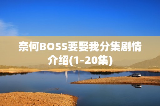 奈何BOSS要娶我分集剧情介绍(1-20集)