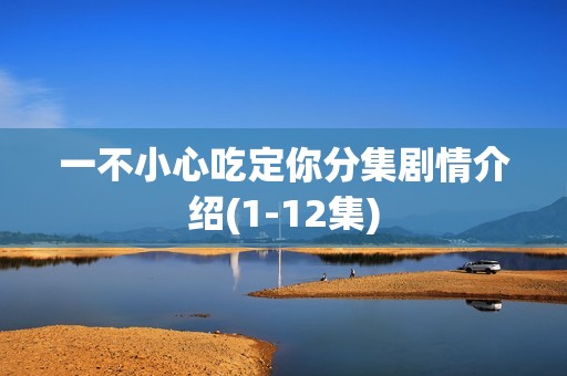 一不小心吃定你分集剧情介绍(1-12集)