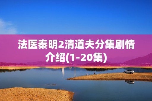 法医秦明2清道夫分集剧情介绍(1-20集)