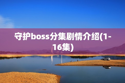 守护boss分集剧情介绍(1-16集)