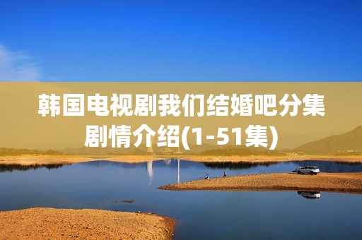 韩国电视剧我们结婚吧分集剧情介绍(1-51集)