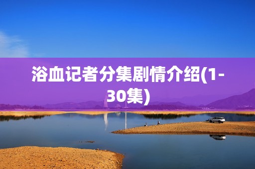 浴血记者分集剧情介绍(1-30集)