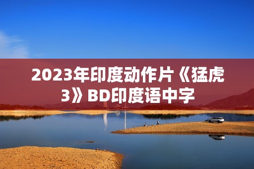 2023年印度动作片《猛虎3》BD印度语中字