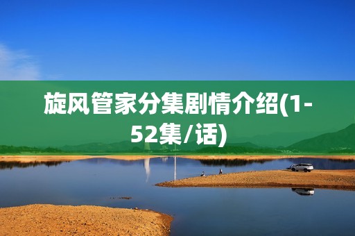 旋风管家分集剧情介绍(1-52集/话)