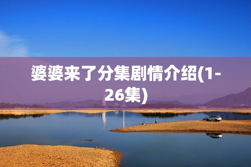 婆婆来了分集剧情介绍(1-26集)