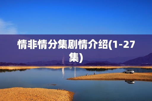 情非情分集剧情介绍(1-27集)