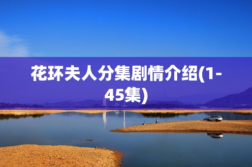 花环夫人分集剧情介绍(1-45集)