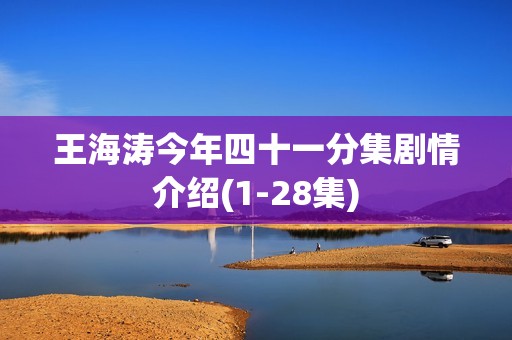 王海涛今年四十一分集剧情介绍(1-28集)