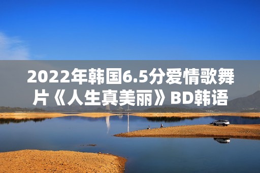 2022年韩国6.5分爱情歌舞片《人生真美丽》BD韩语中字