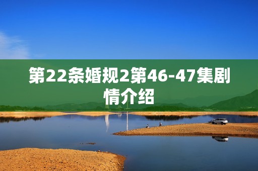 第22条婚规2第46-47集剧情介绍