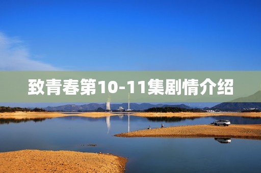 致青春第10-11集剧情介绍