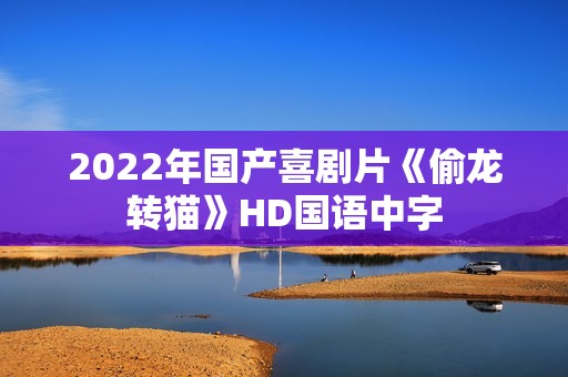 2022年国产喜剧片《偷龙转猫》HD国语中字