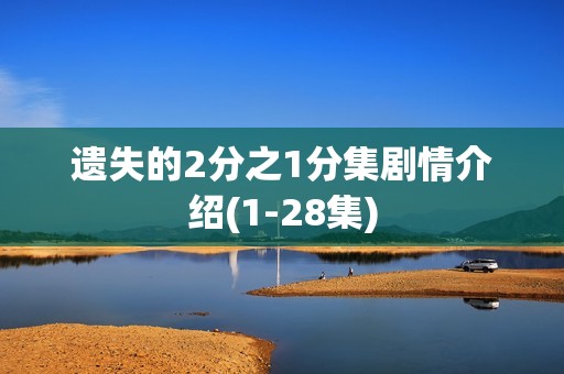 遗失的2分之1分集剧情介绍(1-28集)