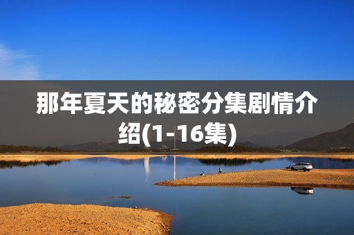 那年夏天的秘密分集剧情介绍(1-16集)