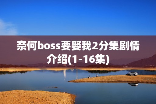 奈何boss要娶我2分集剧情介绍(1-16集)